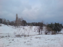 Slika