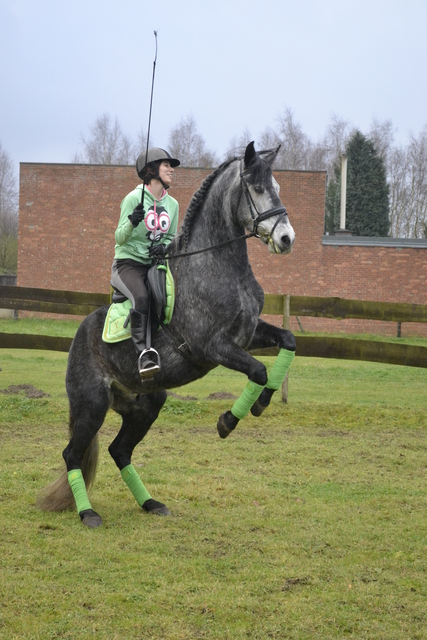 Afbeelding