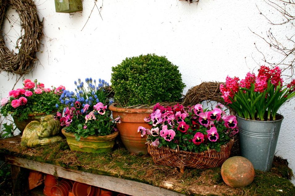 Click here to join funchoice