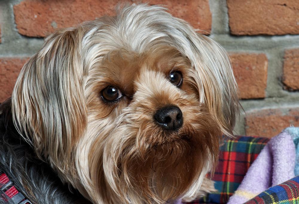 Click here to join funchoice