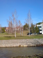 Slika