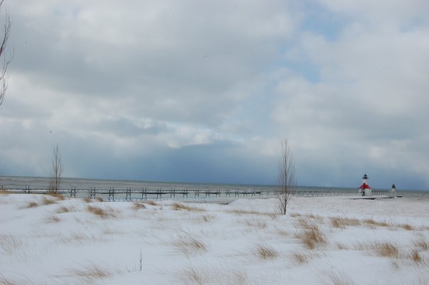 Snow Lake Effect Michigan - Gennaio 2010 4331246