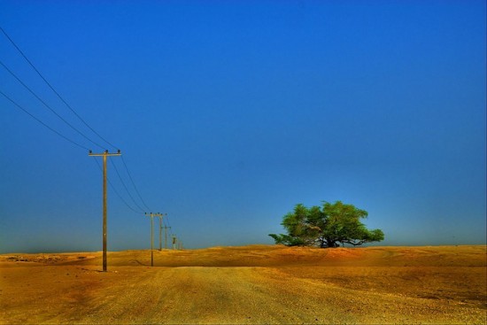 Image Hosted by PicturePush - Photo Sharing