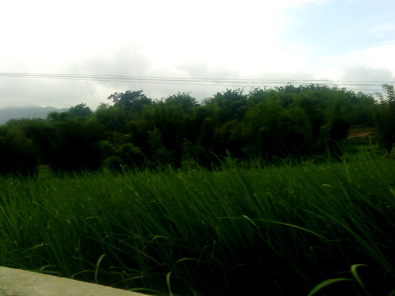 Image Hosted by PicturePush - Photo Sharing