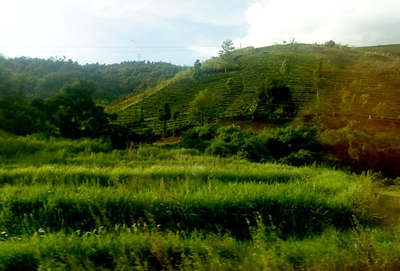 Image Hosted by PicturePush - Photo Sharing