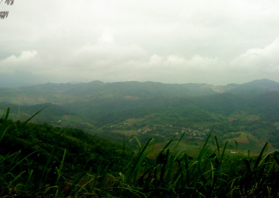 Image Hosted by PicturePush - Photo Sharing