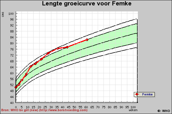 6482051.bmp