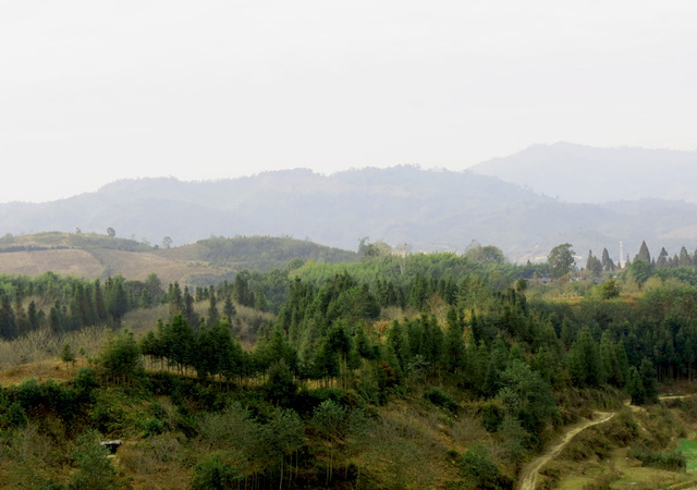 Image Hosted by PicturePush - Photo Sharing