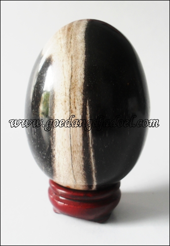 Telur Fosil Kayu Kelor Sold Telur Fosil Kayu Kelor Sold