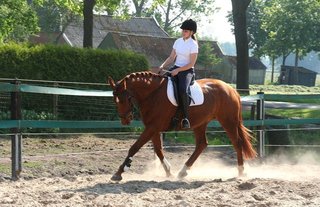 Afbeelding