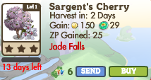 8521266  Limited Edition Jade Falls: Fortune Cookies, Sargent’s Cherry & Cistena Plum Tree!