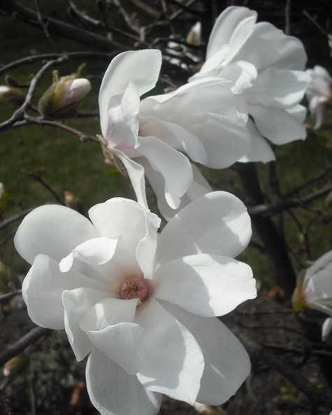 Image Hosted by 
PicturePush - Photo Sharing