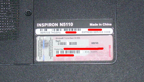 8128621.jpg